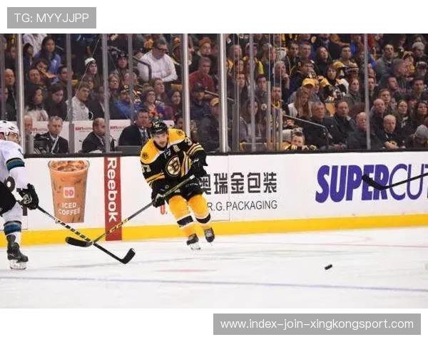 冰球 NHL 经典大战：强强对撞血洒赛场